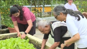 தோட்டக்கலை ஆர்வலர்களை ஈர்க்கும் தேசியப் பூங்காக் கழகத்தின் “Grow and Share”  திட்டம்