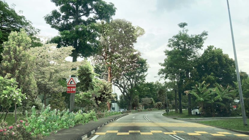 15km forest-like corridor to run through East Coast Park and Changi Beach Park: DPM Heng