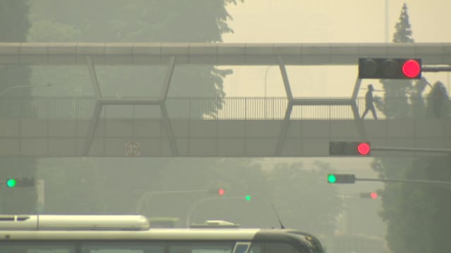 西部烟霾情况尤其严重 专家：最先受苏门答腊林火影响