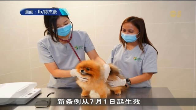 陈杰豪：宠物猫狗进口条例检讨工作已完成
