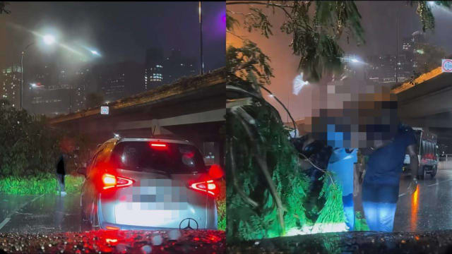 中秋夜风雨交加大树倒塌阻路 网民：遇好心人除障碍