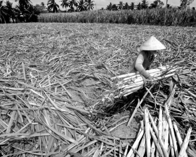 In Asia, govts struggle to deal with a worsening water crisis