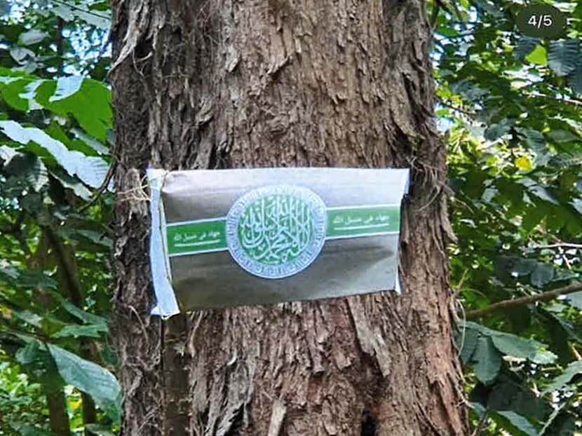 Self-radicalised 18-year-old detained under ISA after planning armed violence in Singapore, Islamic caliphate on Coney Island Self-radicalised 18-year-old detained under ISA after planning armed violence in Singapore, Islamic caliphate on Coney Island