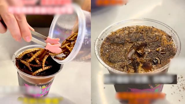 北京昆虫博物馆推“蟑螂咖啡”引热议 因担忧影响已停售