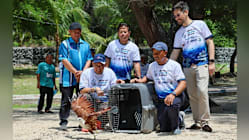 Related article image