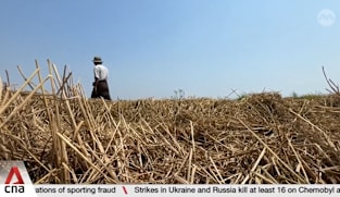 Myanmar's fuel shortage threatens rice harvest efforts, raises food security concerns
