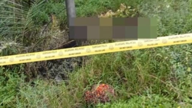 偷尝禁果搞大女友肚子 马国男竟剖腹取胎再烧尸