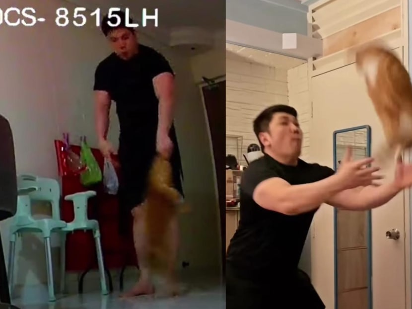 Social media users were outraged by viral videos showing a man allegedly mistreating a cat by throwing it into the air, swinging it by its limbs and spinning it around on the floor.