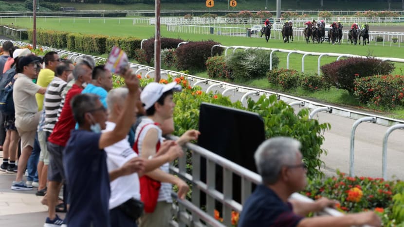 Singapore Turf Club closure: Horse trainers, owners will get help to find new jobs, rehome horses, says Indranee Rajah