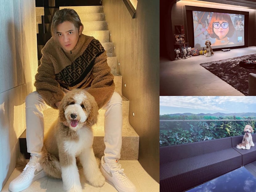Show Luo&rsquo;s Living Room Is So Big, Netizens Say It Looks More Like A Movie Theatre