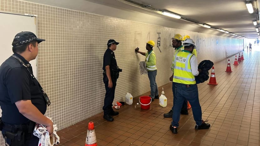 Man arrested after underpass and building in Buona Vista vandalised Man arrested after underpass and building in Buona Vista vandalised