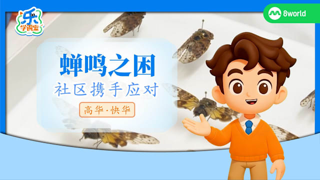 【高华快华】蝉鸣之困　社区携手应对