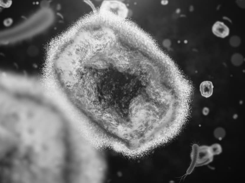 WHO declares monkeypox a global health emergency amid rising cases WHO declares monkeypox a global health emergency amid rising cases