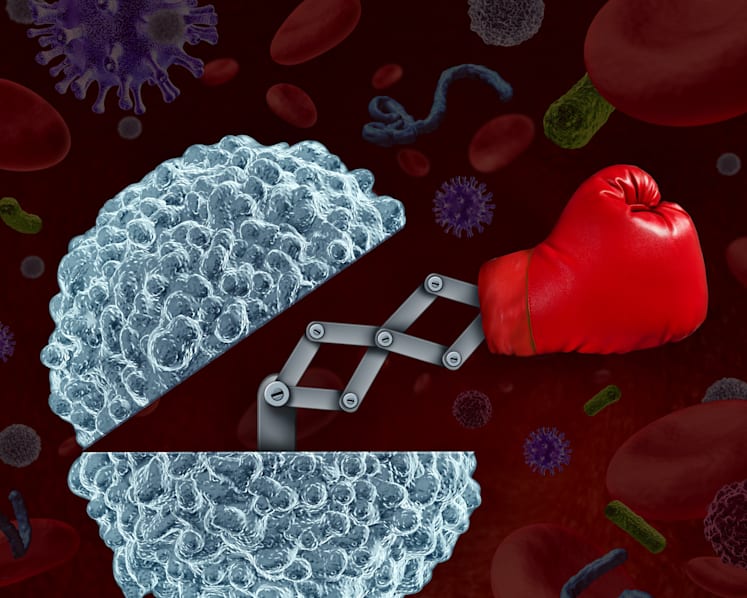 Explainer: How the human body fights infection and how you can boost your immunity