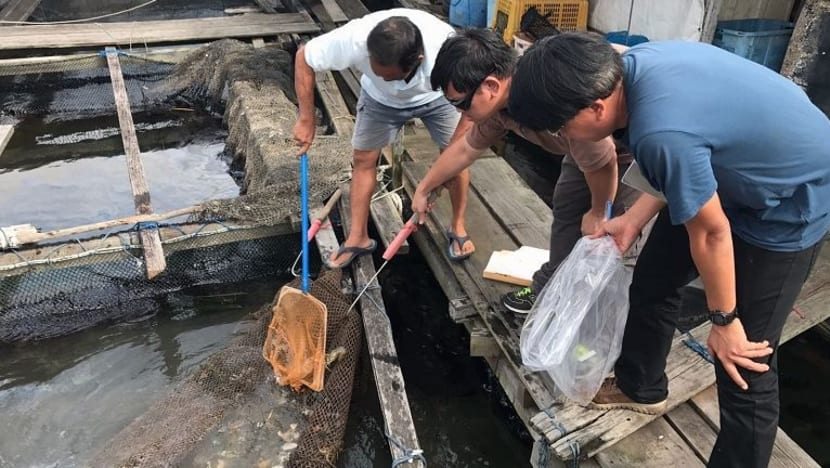 Related article image