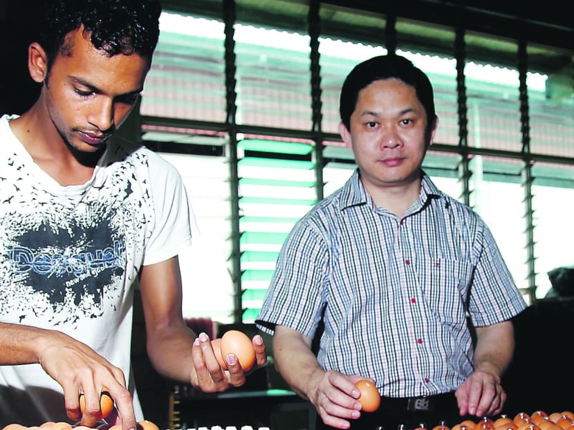 This Singapore farmer is one tough egg to crack