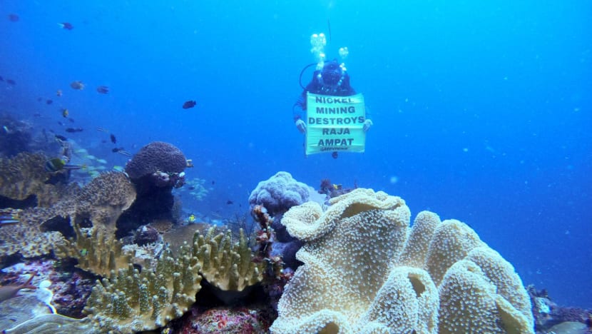 Indonesia probes alleged nickel mining in world-renowned coral reef haven Raja Ampat
