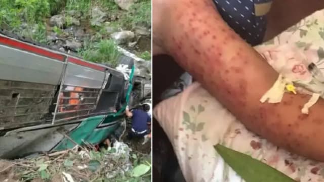 巴士失控坠崖 乘客幸运生还却遭杀人蜂叮死