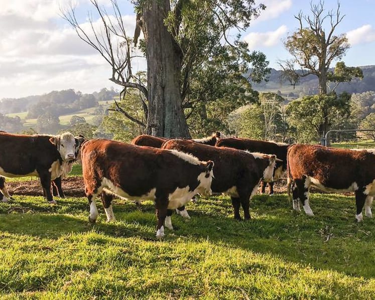 Turning ethical farming into an immersive travel experience just outside Sydney