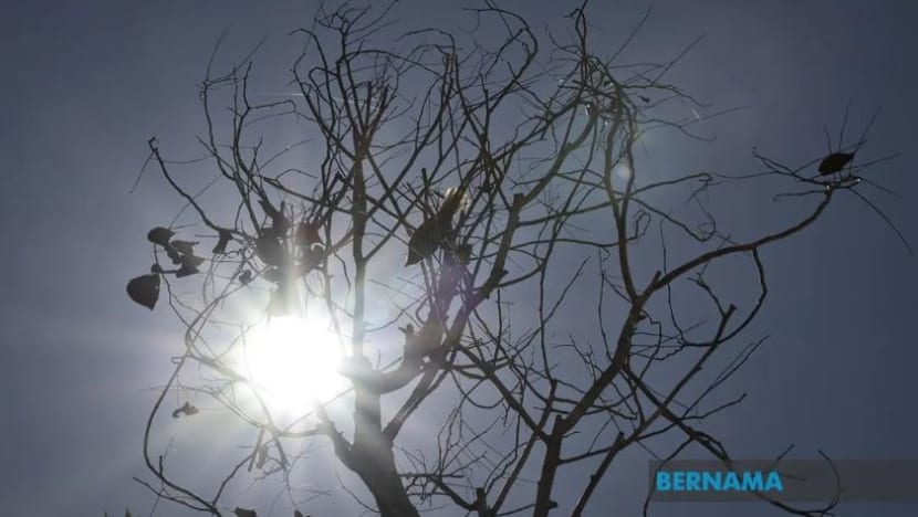 Padang Serai diramal cerah, Tioman hujan pada pagi hari mengundi PRU15