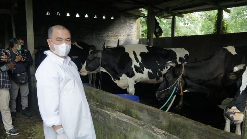 Travellers leaving Bali to undergo disinfection amid outbreak of foot and mouth disease among livestock Travellers leaving Bali to undergo disinfection amid outbreak of foot and mouth disease among livestock