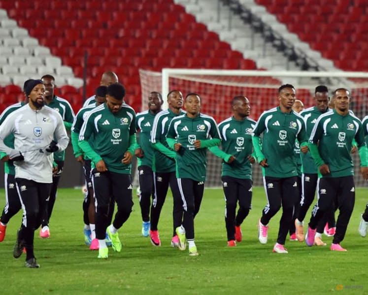South Africa set off for Mexico without assistant coach after visa woes