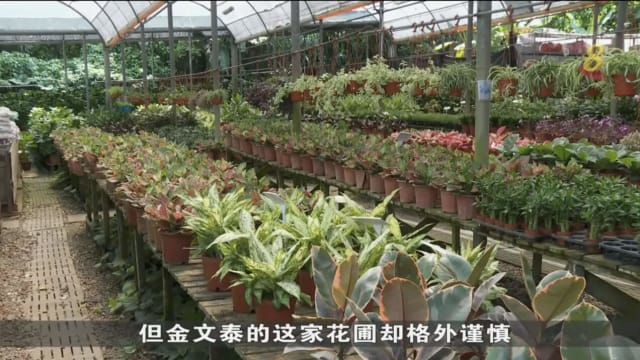 防骨痛热症病例增加 花圃植物加入灭蚊行列
