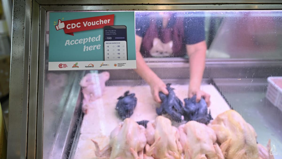 Singaporean households can claim S$500 CDC vouchers from Jun