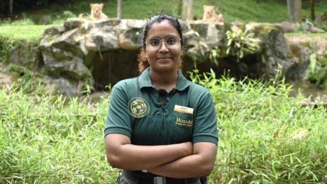 不畏惧猛兽 女饲养员：狮子就像体型大30倍的家猫