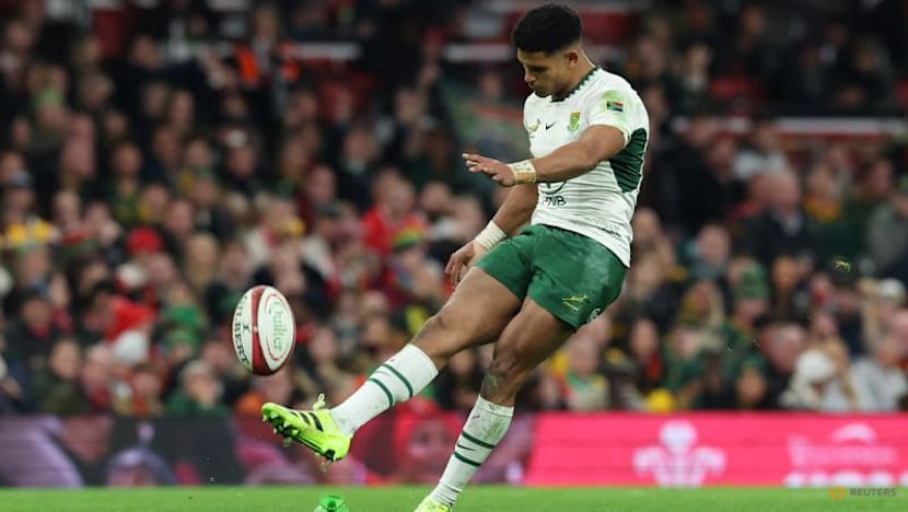 Erasmus confirms Feinberg-Mngomezulu will be fit to face Argentina