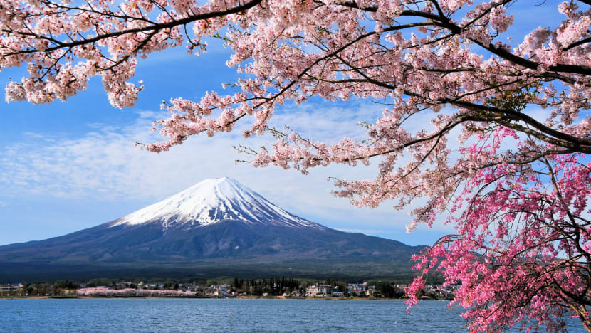 Scoot Will Soon Fly Direct To Tokyo & Relaunch Osaka Flights; Tix From $263 One Way