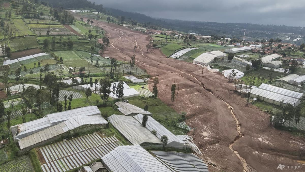Indonesia landslide kills eight, more than 80 missing - CNA