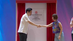 Related article image