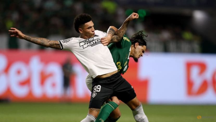 Palmeiras and Botafogo set to rekindle heated rivalry on global stage