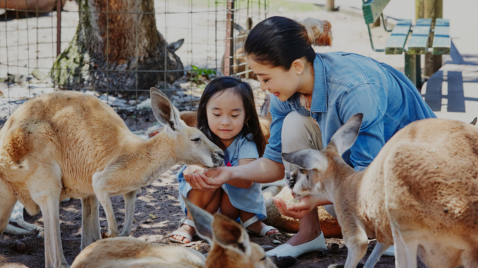 From sun-drenched coastlines to starlit desert skies, this dynamic corner of the world offers adventures to suit every age, and the open road promises as much magic as the destinations themselves.&nbsp;