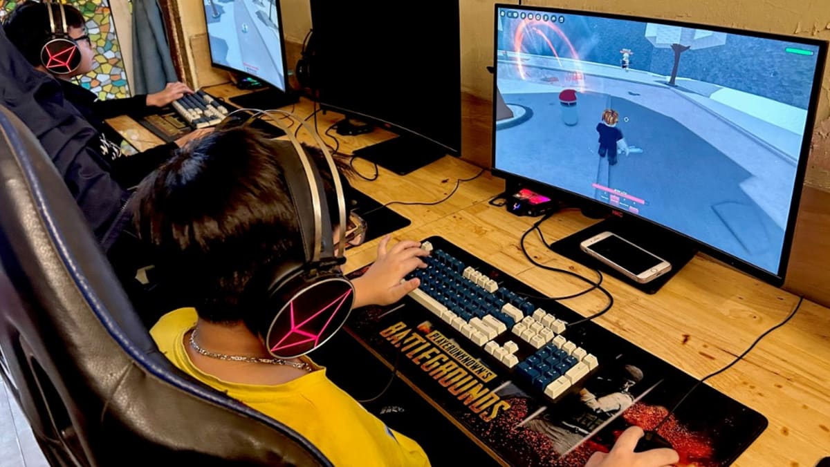 Sweeping Vietnam internet law comes into force