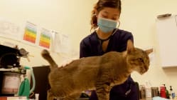 Related article image