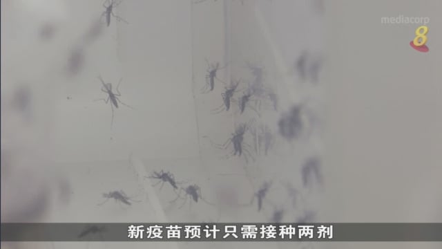 专家：对抗骨痛热症 疫苗可扮演更重大角色
