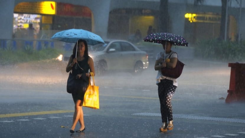 Thundery showers expected in first half of February after a few fair, warm days: Met service