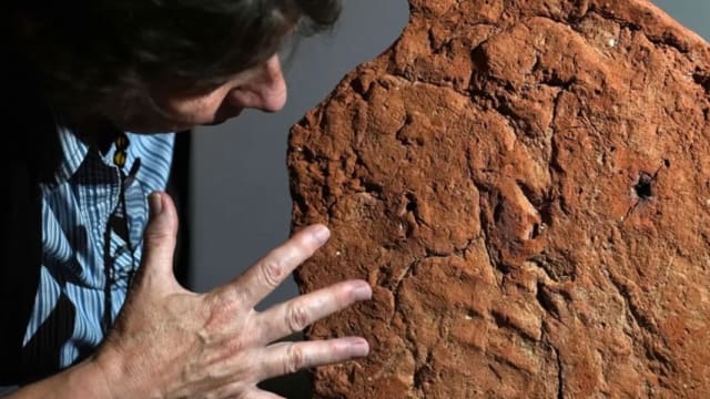 剑桥大学发现罕见4000年历史古埃及完整手印