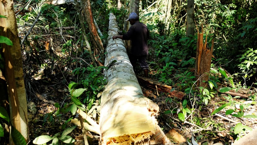 Destruction of environment, overpopulation top risks for mankind, say top scientists