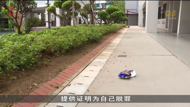 高楼乱抛垃圾若被拍 屋主或租户将被当成肇事者
