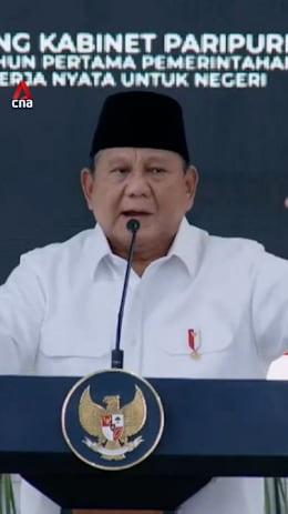 Govt will revoke permits of companies found to have started fires in Indonesia: Prabowo