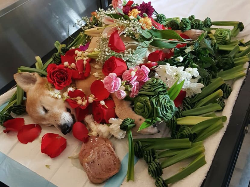 Saying goodbye: Owners go the extra mile for their pet’s final journey