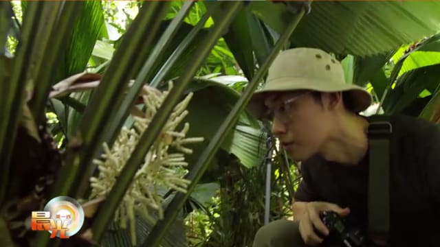 晨光|镜看世界：植物摄影师 用镜头诉说绿植之美