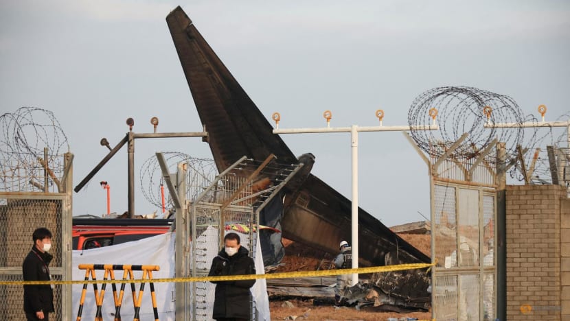South Korea inspects Boeing 737-800 fleet after country's worst plane crash South Korea inspects Boeing 737-800 fleet after country's worst plane crash