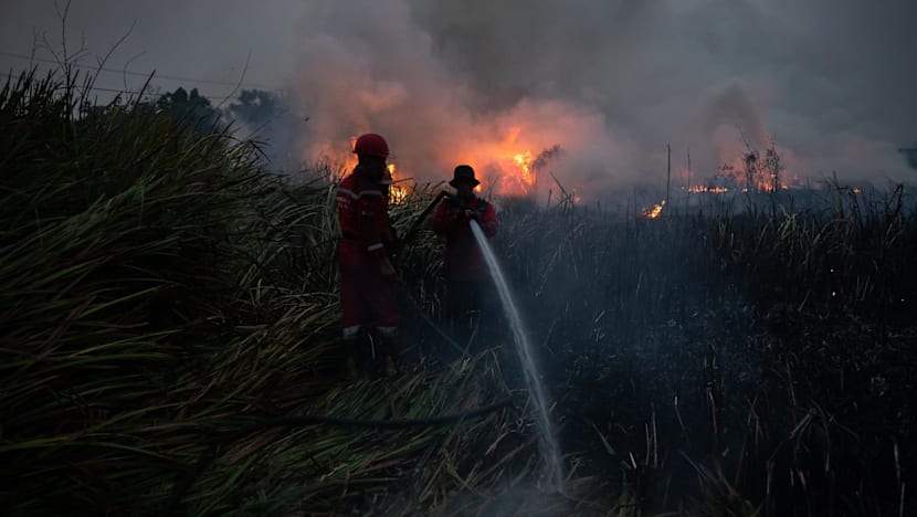 Prabowo steps up Indonesia's firefighting efforts; foreign offers of help not discussed
