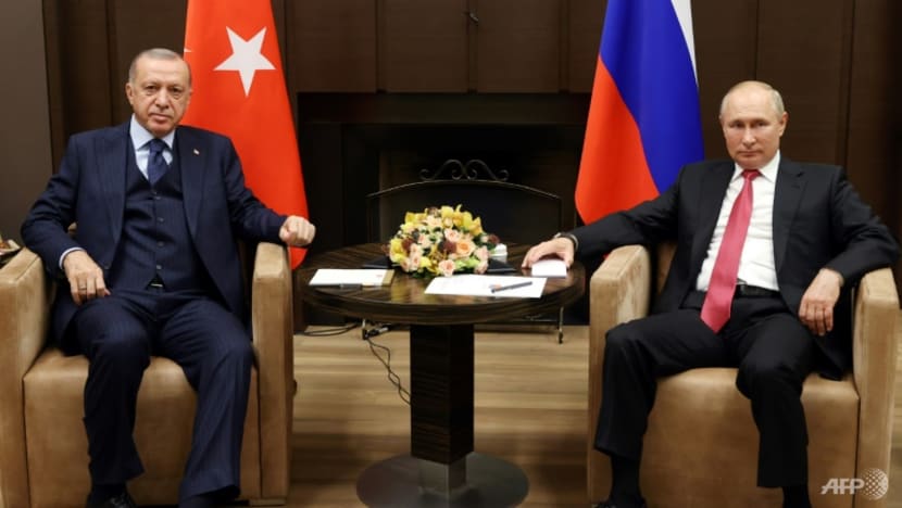 Commentary: Why is Turkey against Finland and Sweden's bids to join NATO? Commentary: Why is Turkey against Finland and Sweden's bids to join NATO?