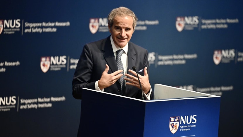 Singapore could be ‘most perfect example’ of a country that needs nuclear energy: IAEA chief
