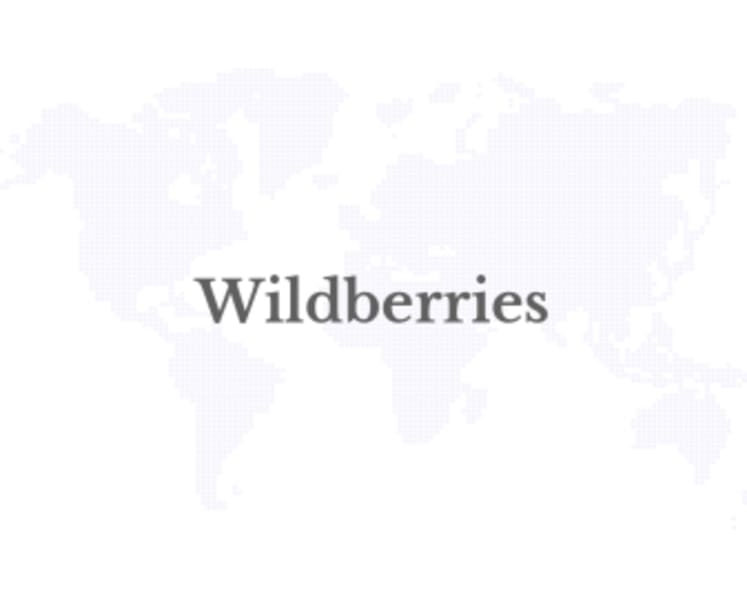 Wildberries Launches Purchase on Credit in Kazakhstan